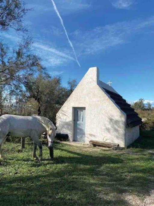Villa 8 Personnes Bord De Mer Climatisee Saintes-Maries-de-la-Mer Kültér fotó